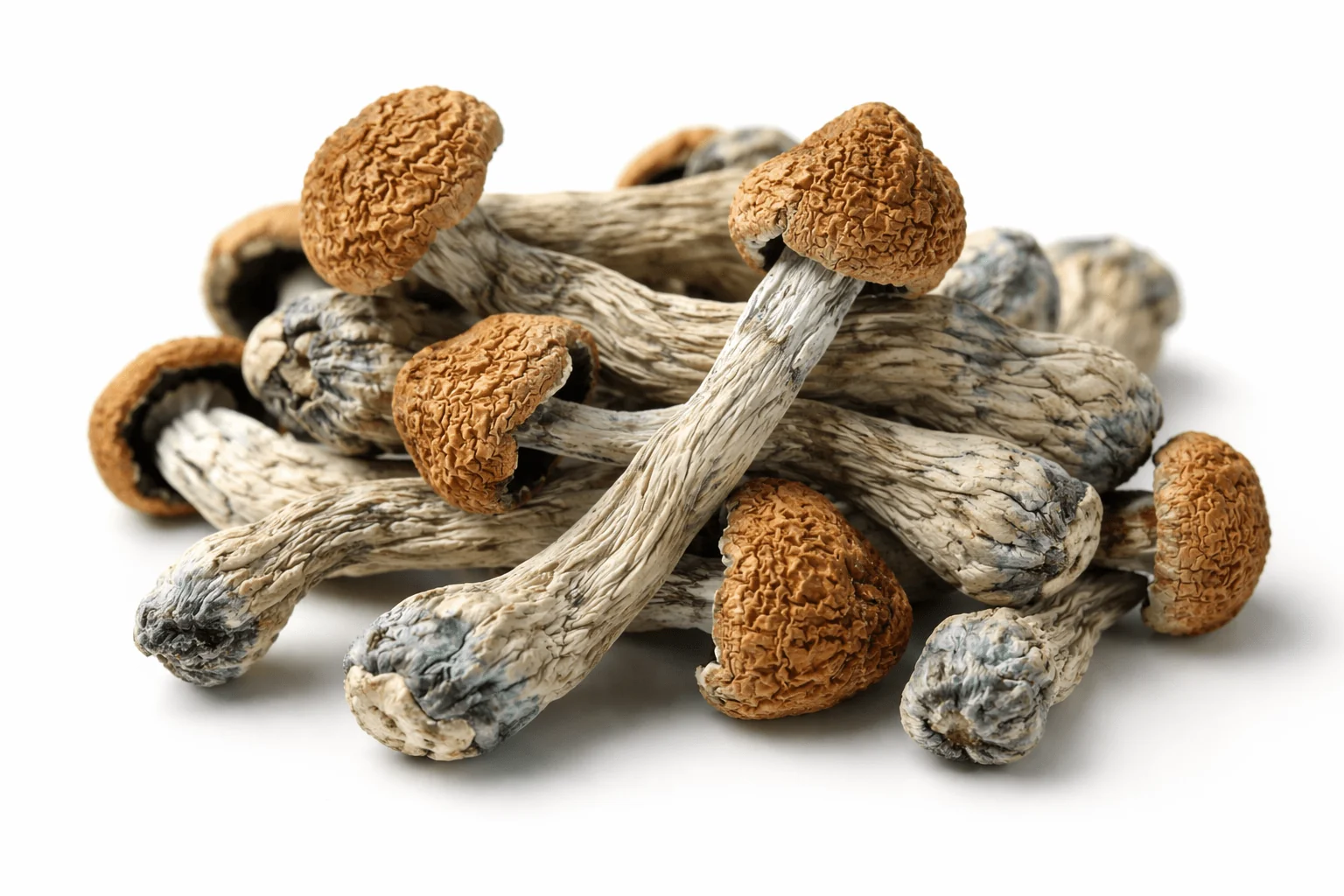 Dose Of Psilocybin Reduces OCD Symptoms