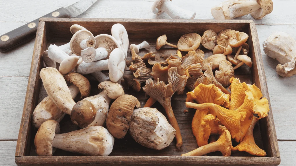 Can Mushrooms Help Prevent Alzheimer’s Disease?