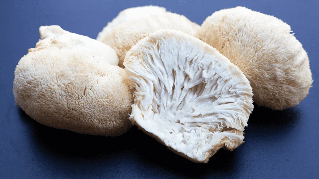 Can Nootropics Improve Sport Performance?