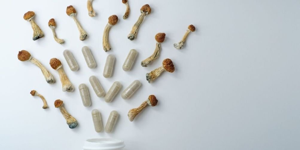 Mixing Psilocybin and Other Drugs