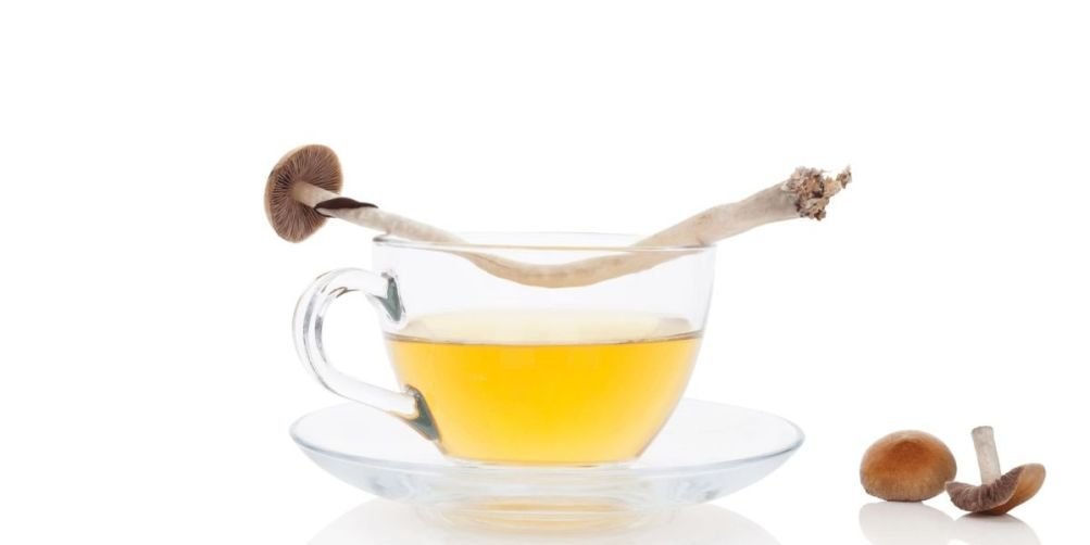 Psilocybin Edibles