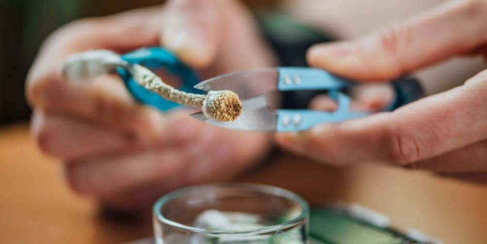 Microdosing Psilocybin: Benefits vs. Risks