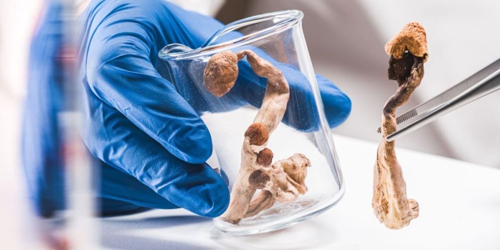 Can You Overdose on Psilocybin?